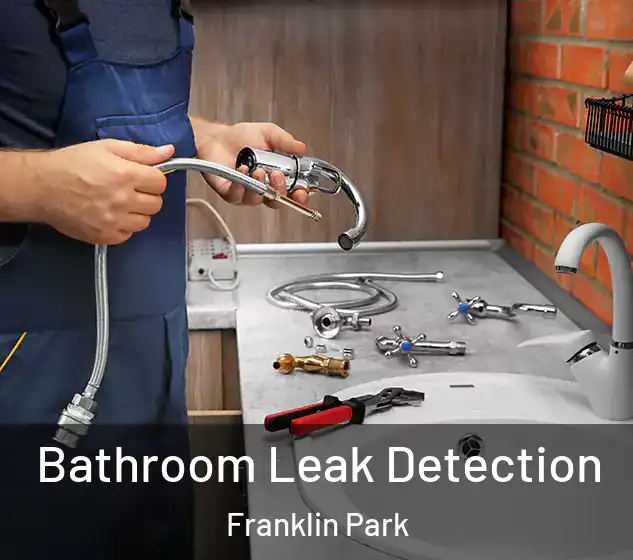  Bathroom Leak Detection Franklin Park