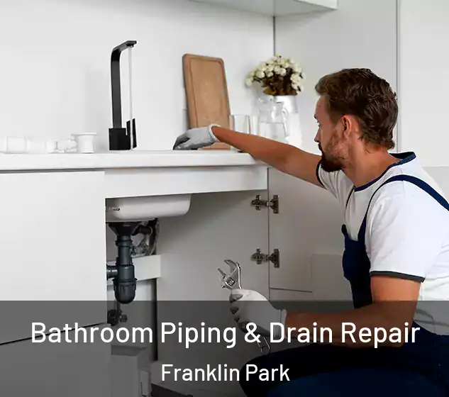  Bathroom Piping & Drain Repair Franklin Park