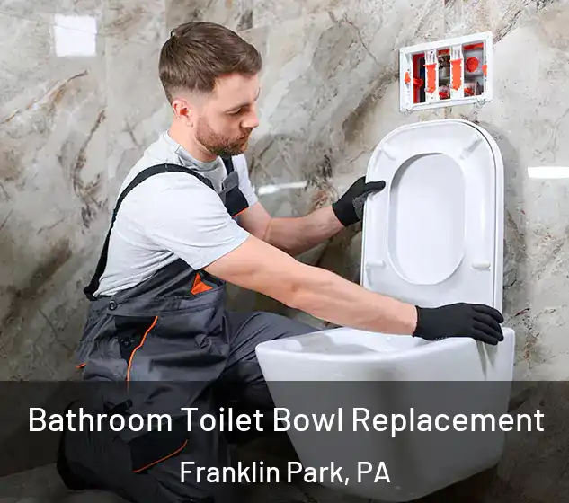  Bathroom Toilet Bowl Replacement Franklin Park, PA