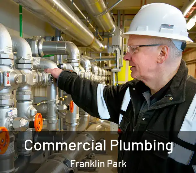 Commercial Plumbing Franklin Park