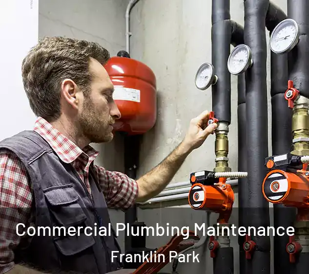  Commercial Plumbing Maintenance Franklin Park