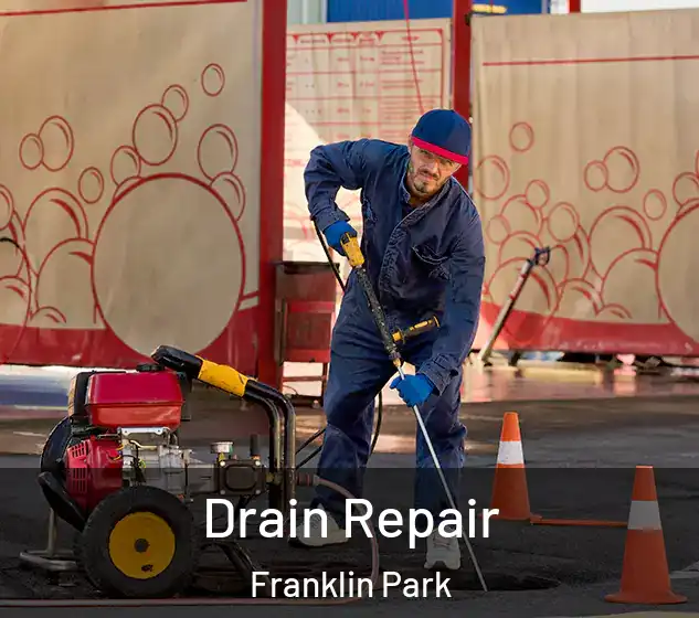  Drain Repair Franklin Park