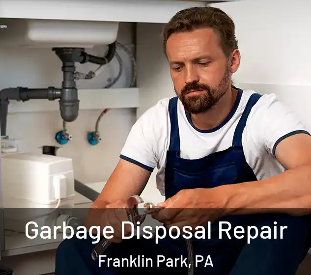  Garbage Disposal Repair Franklin Park, PA