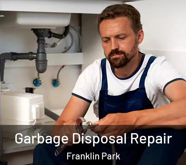  Garbage Disposal Repair Franklin Park