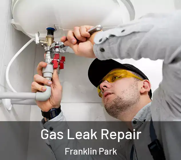  Gas Leak Repair Franklin Park