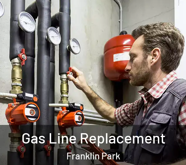  Gas Line Replacement Franklin Park