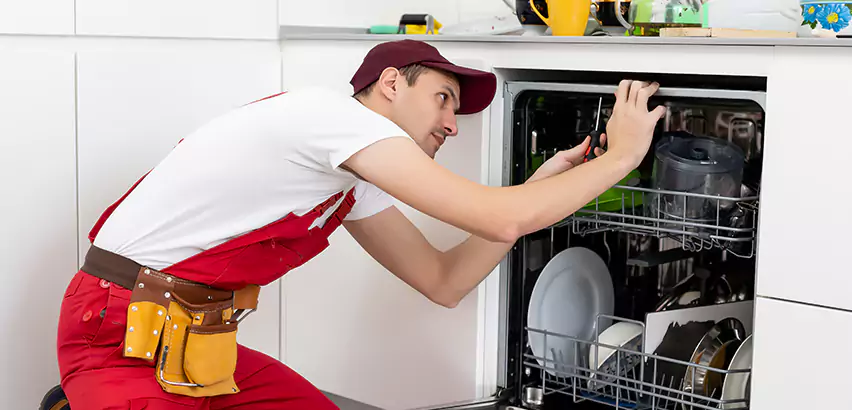 Scope of Kitchen Dishwasher Installation Services in Franklin Park, PA
