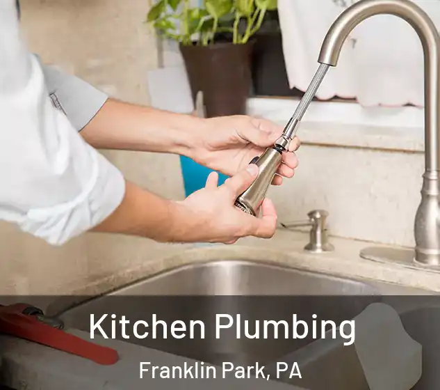  Kitchen Plumbing Franklin Park, PA