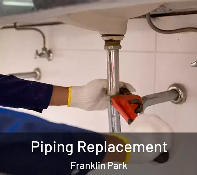  Piping Replacement Franklin Park