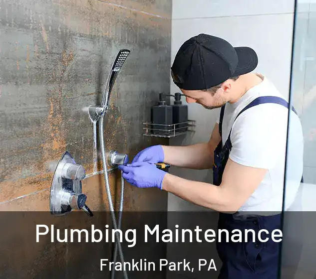  Plumbing Maintenance Franklin Park, PA