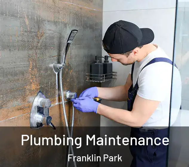  Plumbing Maintenance Franklin Park
