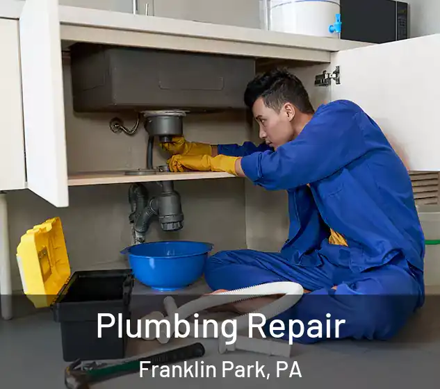  Plumbing Repair Franklin Park, PA