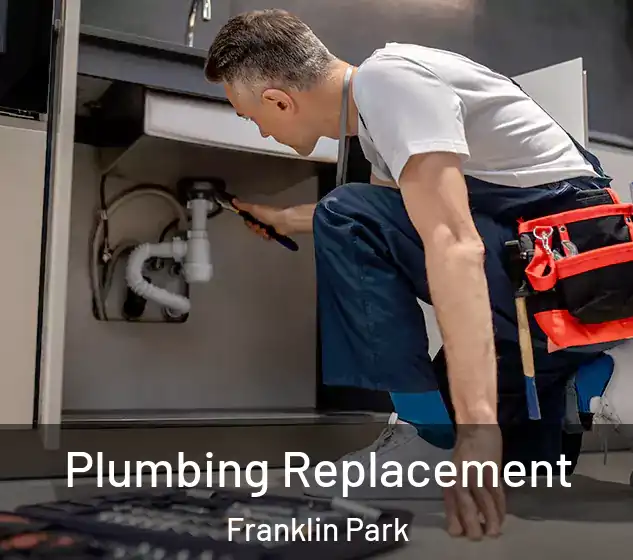  Plumbing Replacement Franklin Park