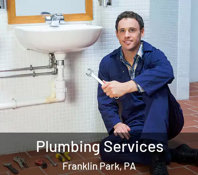  Plumbing Services Franklin Park, PA