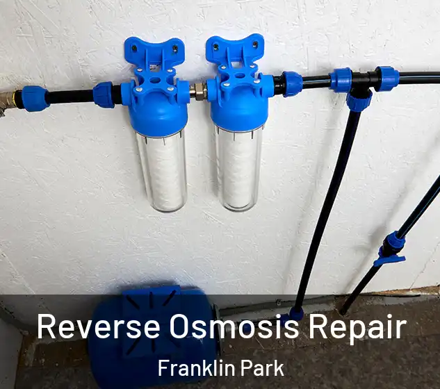  Reverse Osmosis Repair Franklin Park