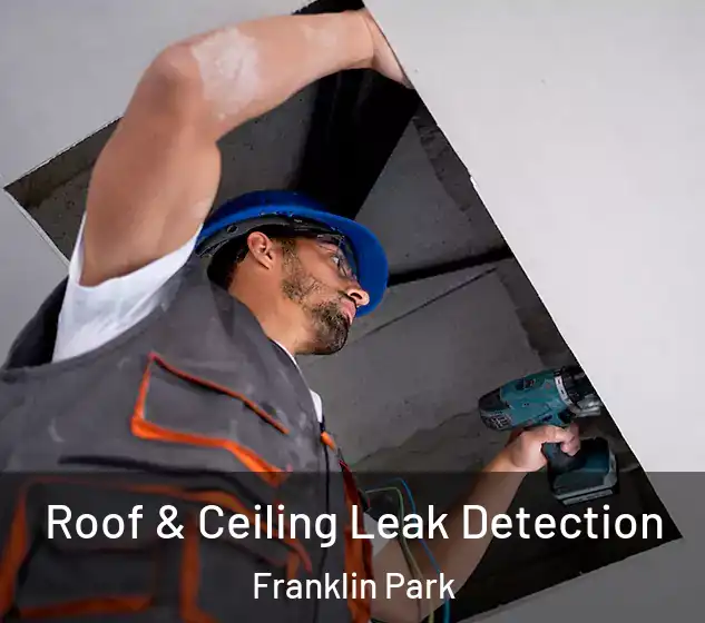  Roof & Ceiling Leak Detection Franklin Park