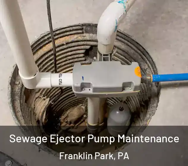  Sewage Ejector Pump Maintenance Franklin Park, PA