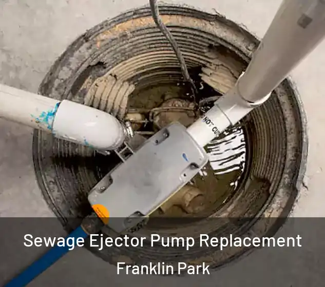  Sewage Ejector Pump Replacement Franklin Park