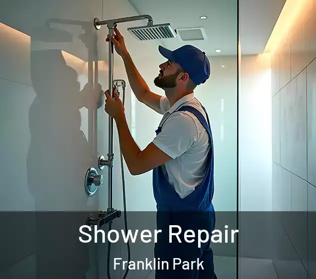  Shower Repair Franklin Park