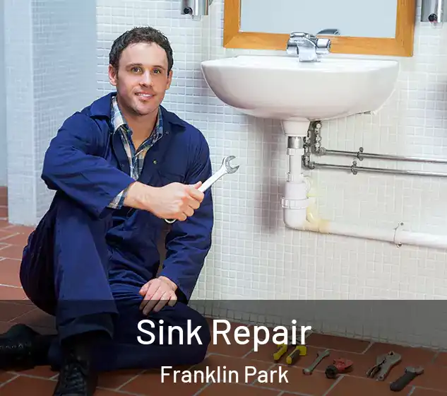  Sink Repair Franklin Park