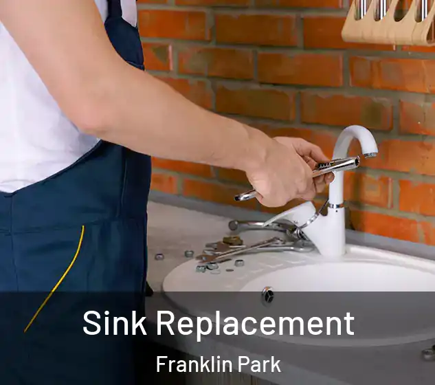  Sink Replacement Franklin Park
