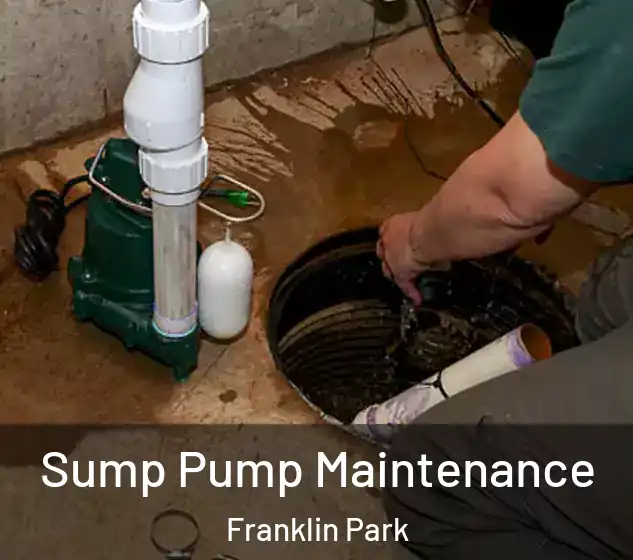  Sump Pump Maintenance Franklin Park