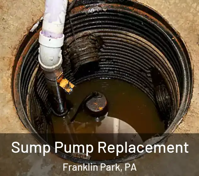  Sump Pump Replacement Franklin Park, PA