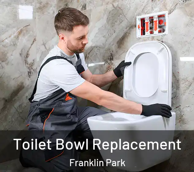  Toilet Bowl Replacement Franklin Park