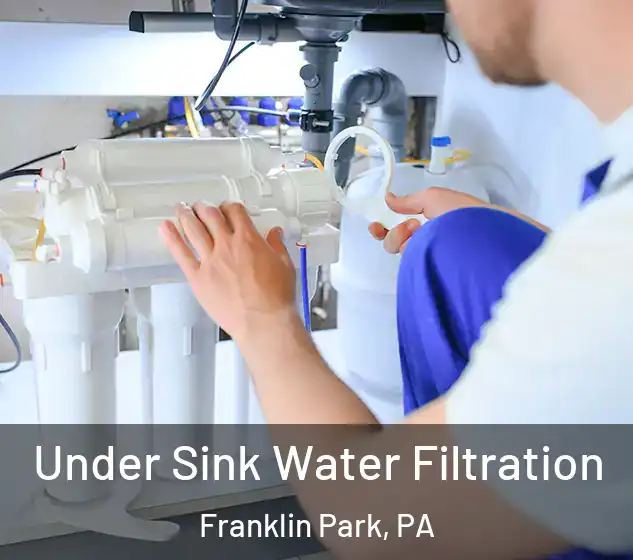  Under Sink Water Filtration Franklin Park, PA