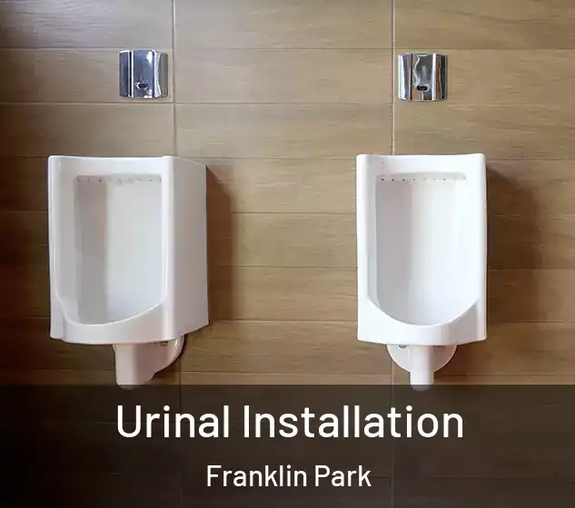  Urinal Installation Franklin Park