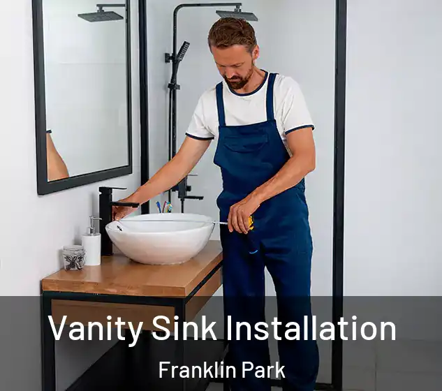  Vanity Sink Installation Franklin Park