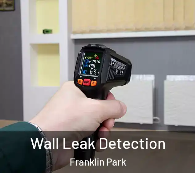  Wall Leak Detection Franklin Park