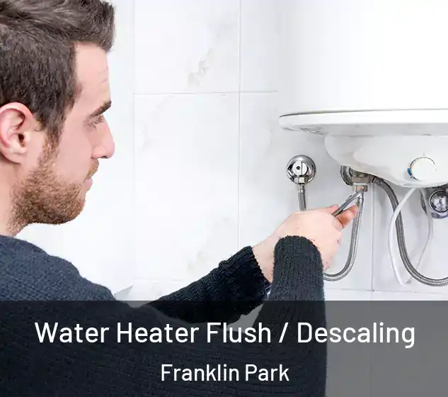  Water Heater Flush / Descaling Franklin Park