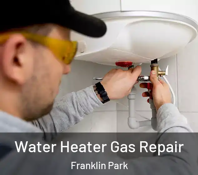  Water Heater Gas Repair Franklin Park