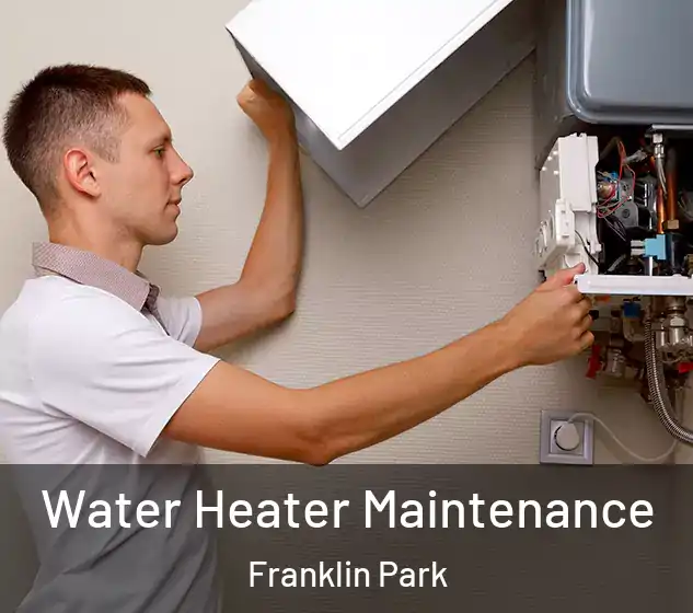  Water Heater Maintenance Franklin Park