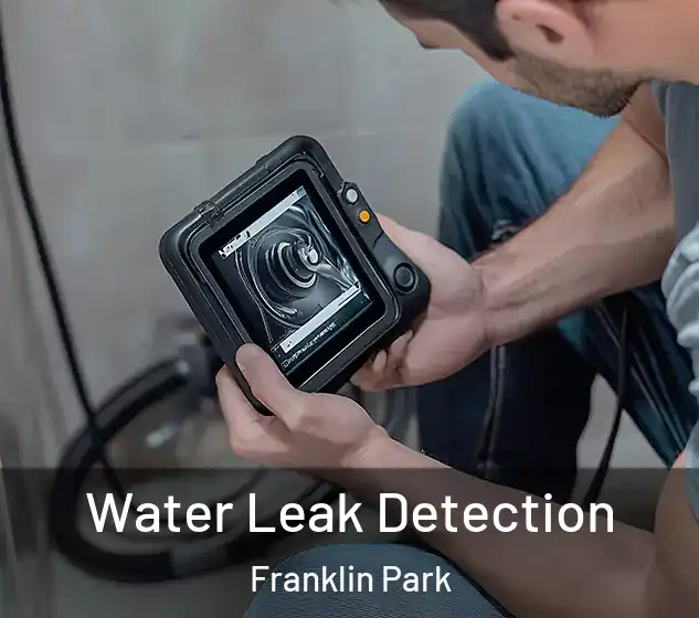  Water Leak Detection Franklin Park