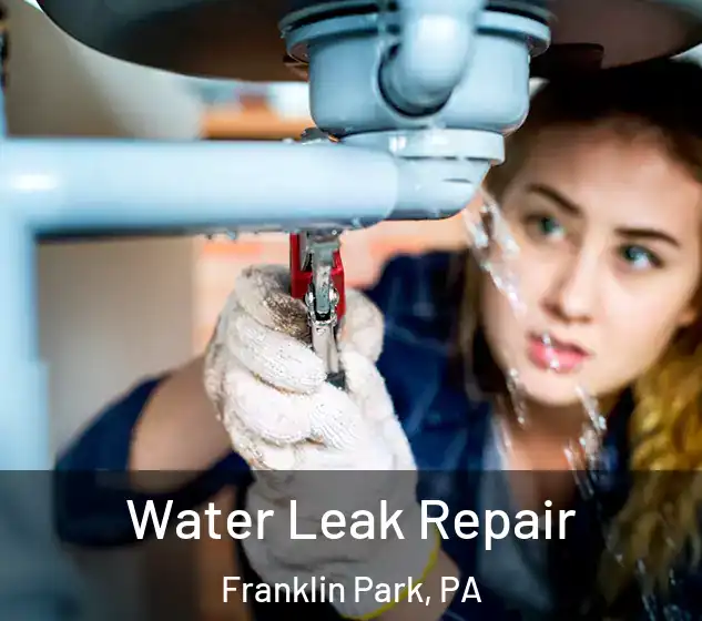  Water Leak Repair Franklin Park, PA